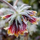 ���� �����, �����, 64 ���� - ��������� 22 ������� 2016 � ������ ������� ���������