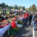  ,  -  14  2016       ̻