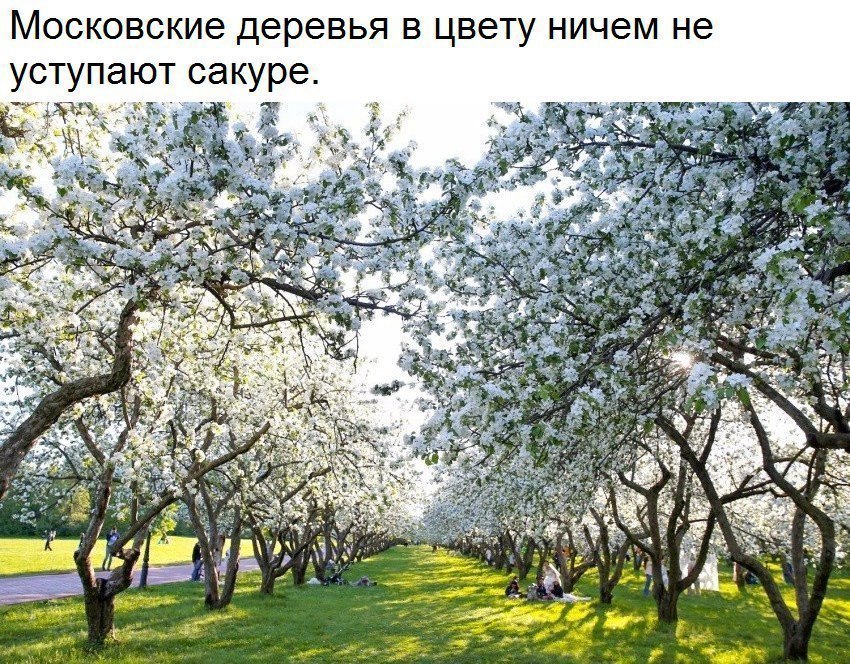   - 29  2017  20:43