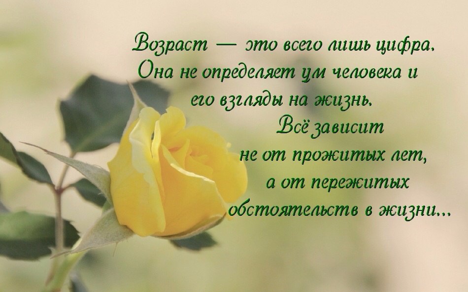   - 25  2016  10:19