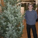 ���� Andrey, ������� - ��������� 23 ������ 2017 � ������ ���� ����������