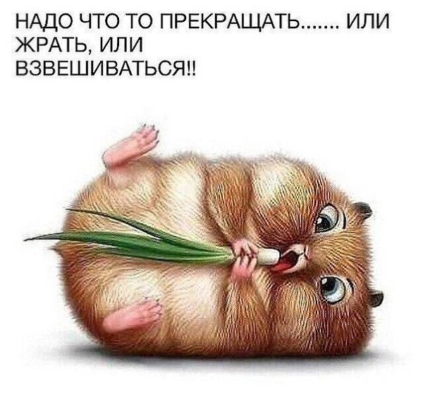   - 31  2016  16:47