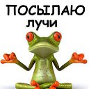 ���� ��������, �������, 50 ��� - ��������� 17 ����� 2017 � ������ ���� ����������