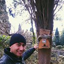 ���� Azim, �������, 35 ��� - ��������� 15 ������� 2017 � ������ ���� ����������