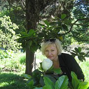 , 48 , 
