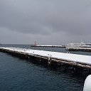  , , 60  -  3  2017     ,28.01.17.