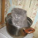 ���� �� �, ������ - ��������� 17 ������ 2016 � ������ ���� ����������