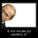 ���� ����, ������, 52 ���� - ��������� 25 �������� 2016 � ������ ���� ����������