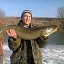 ���� ������, ������, 47 ��� - ��������� 17 �������� 2016 � ������ ���� ����������