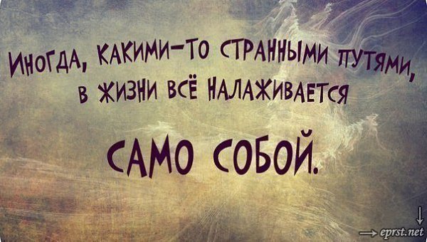 ������� ���� ������������� ����. ����� �� ���� ��������, ������� ����������� ������� � ������, ... - 51