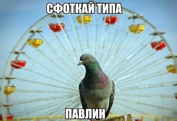 ? ,  ! - 17  2016  13:24