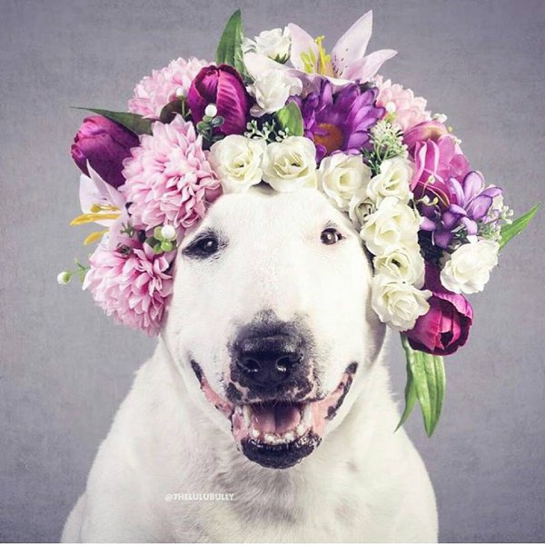 Специально для тех, кто в 8 утра не может радоваться новому утру и для засонь).Доброго утра и дня!