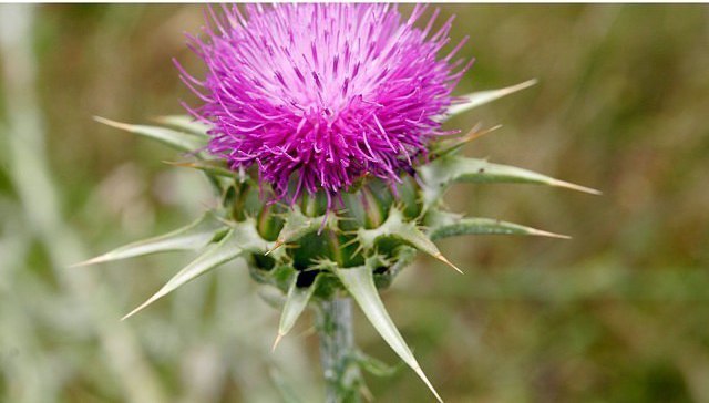  -   !     , , ,  ...