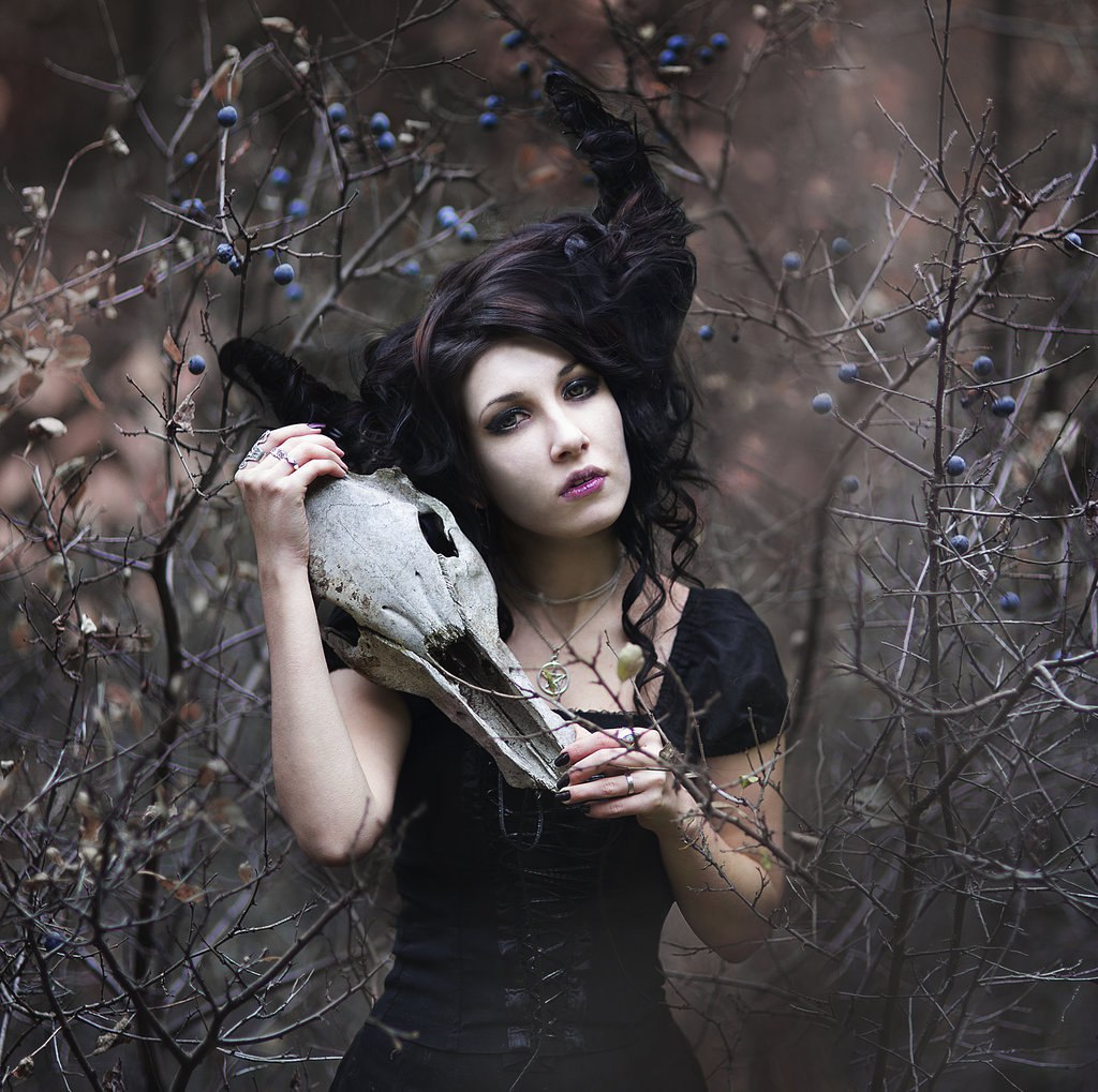 ������ - 25 ������ 2016 � 09:50