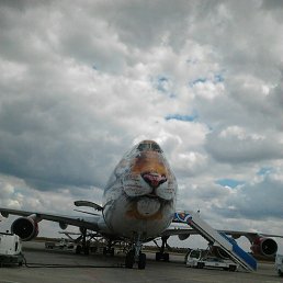 ���� �����, �����������, 35 ��� - ��������� 30 ������ 2017