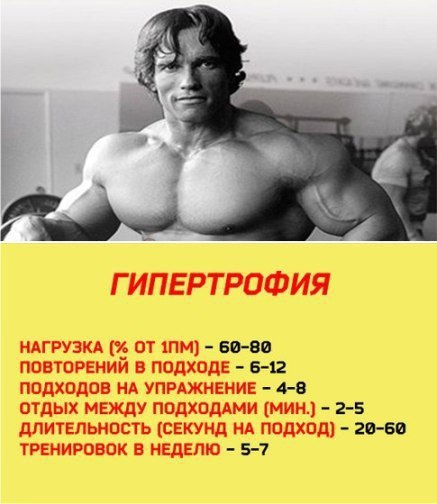  ,    ,      - 4