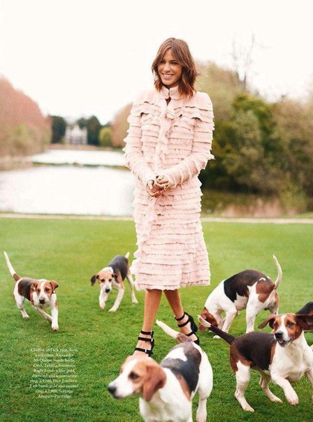 Alexa Chung for Harpers Bazaar UK by David Slijper - 2
