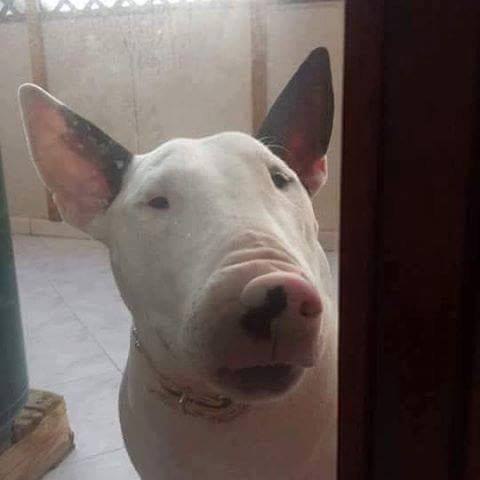 , !