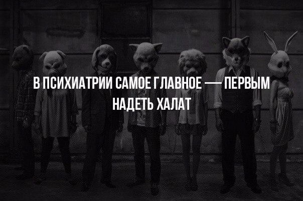  | ,  - 8  2017  13:56
