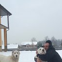 ���� �������, ������, 53 ���� - ��������� 7 ������� 2017 � ������ ���� ����������