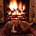 ���� ���������, ������� - ��������� 12 ������ 2016 � ������ ������ ��������