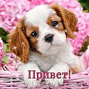 ���� ����, ����-�����������, 70 ��� - ��������� 21 ����� 2017 � ������ ������