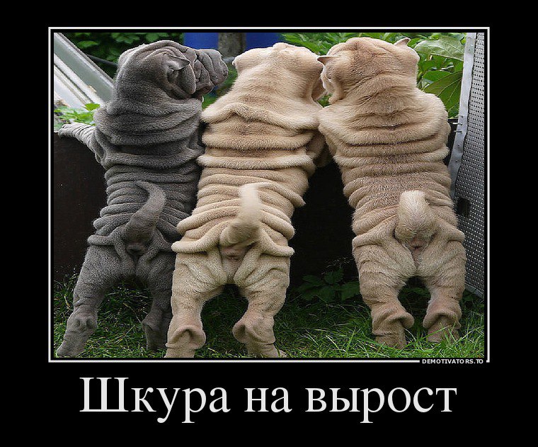   : <a href=