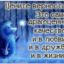  ,  -  15  2017    