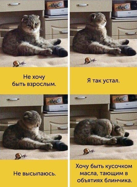  , ! ;)