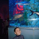 ���� Aleksandr, ��������� - ��������� 31 ������ 2017 � ������ ���������� 04.01.2017�.�