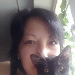 ���� ����, �����-���������, 49 ��� - ��������� 6 ������� 2017