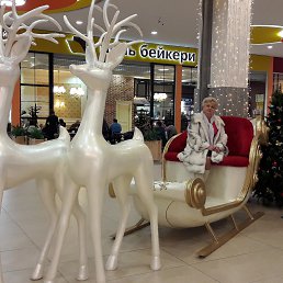 ���� ��������, ������, 58 ��� - ��������� 21 ����� 2017