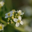  , --, 44  -  20  2016    - 2015