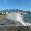  , , 73  -  31  2016     Ի