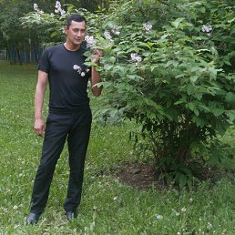 ���� ������, ������, 52 ���� - ��������� 1 ������� 2016