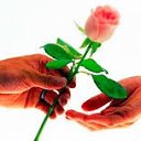  David, , 59  -  17  2017    