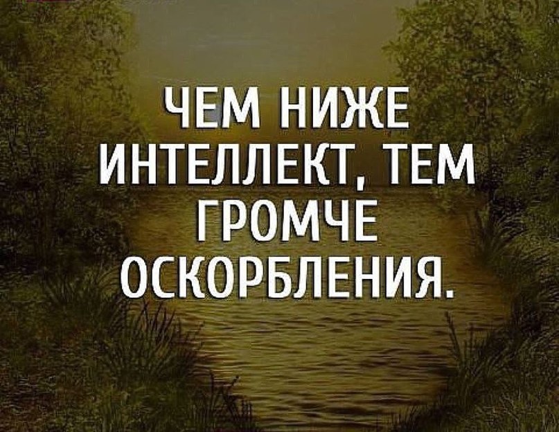     - 21  2016  22:51