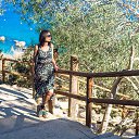  , , 48  -  8  2016   __ 2016