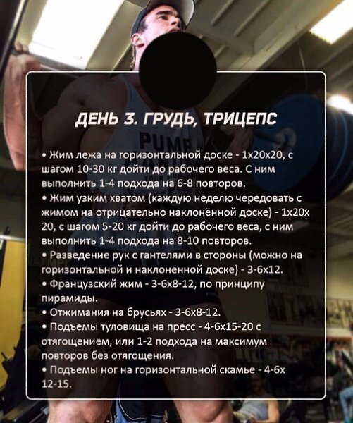 Пятидневный сплит на массу.Пятидневная программа, как и четырех дневная, не имеет определенной ... - 2