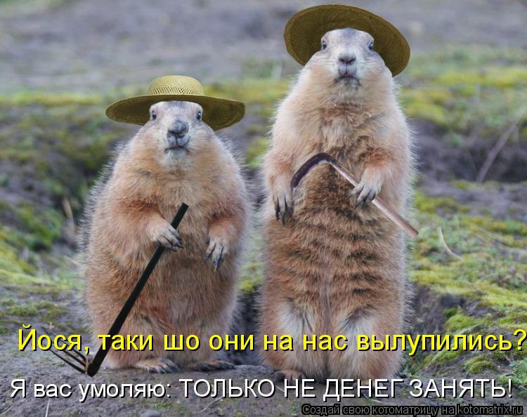  - 2  2016  07:57