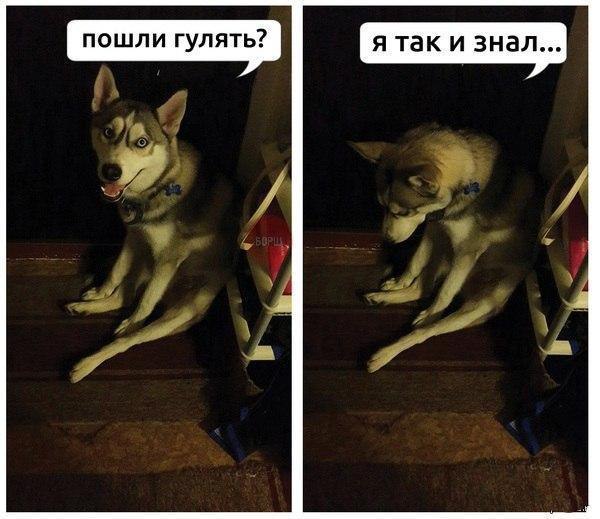  - 9  2017  04:52