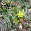 ���� �������, ������� - ��������� 5 ������ 2017 � ������ ������ 2017�