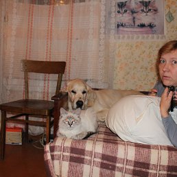 ���� ������, ���������, 46 ��� - ��������� 22 ����� 2017