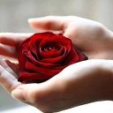 ���� ������, ������ - ��������� 25 ������� 2016 � ������ ������ ��������