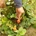 �������� �� �������� ����� �� ������� ����� 2016�