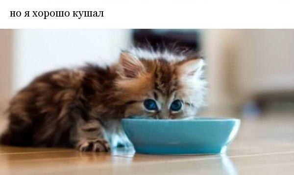  - 2