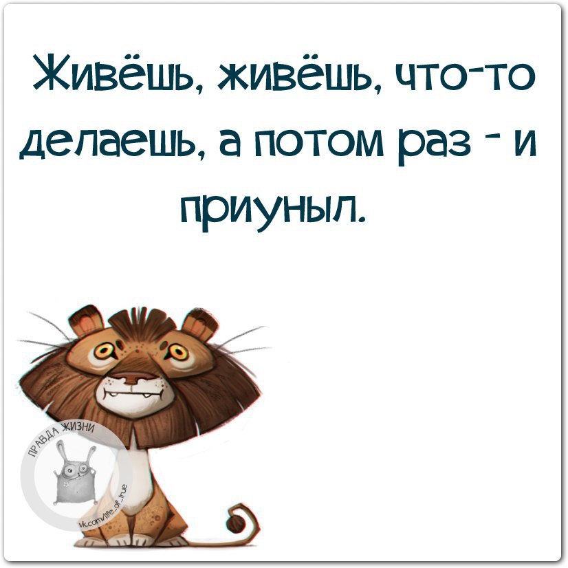 Живешь прям как. Правда жизни цитаты. Правда жизни афоризмы. Жизнь правда высказывания. Правда жизни картинки с надписями