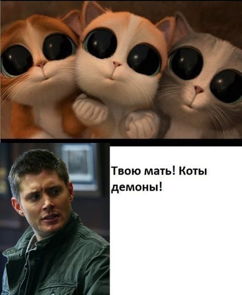    :D - 28  2017  13:32