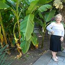  , , 73  -  25  2016     2016