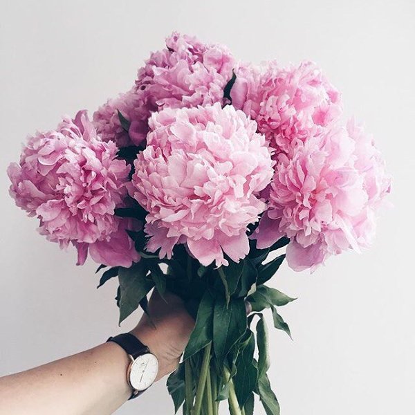 ����� ������� - 31 ������ 2017 � 01:07